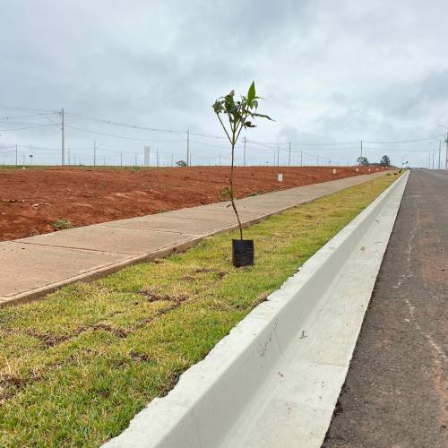 Imagem Andamento 2